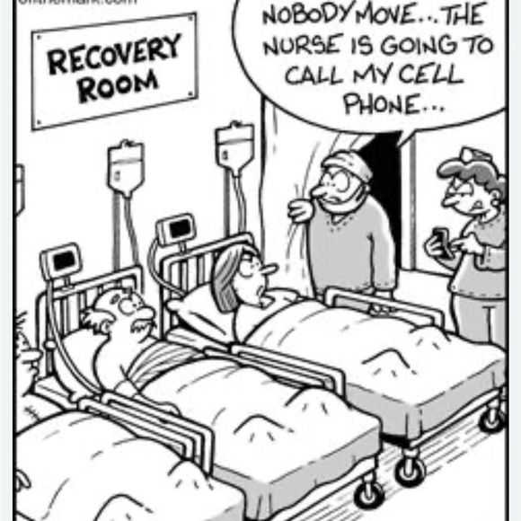 Trekking in Lithuania 🇱🇹 8/27/25 - Picture 3 of 16